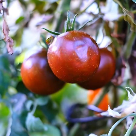 Luna D'Agerola Ngoại thất bức ảnh