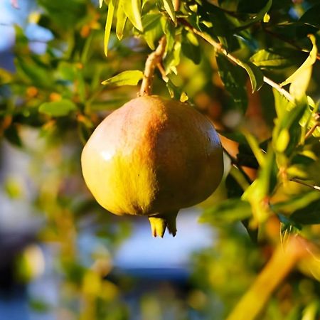 Luna D'Agerola Ngoại thất bức ảnh