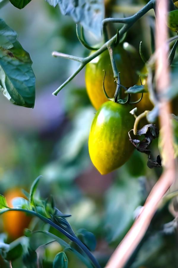 Luna D'Agerola Ngoại thất bức ảnh
