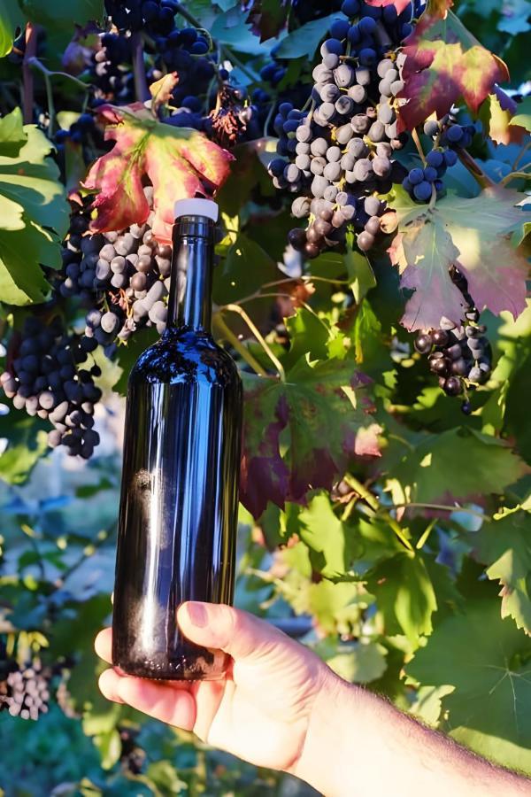 Luna D'Agerola Ngoại thất bức ảnh
