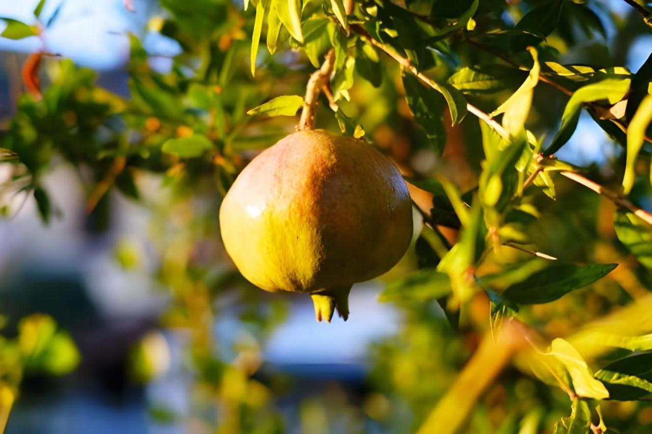 Luna D'Agerola Ngoại thất bức ảnh