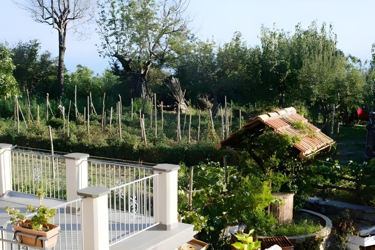 Luna D'Agerola Ngoại thất bức ảnh
