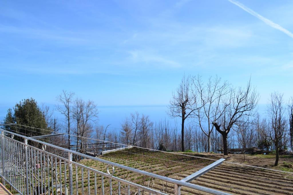 Luna D'Agerola Phòng bức ảnh